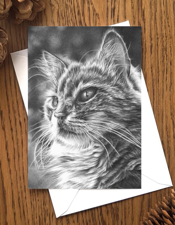 Maine coon Cat greetings Card on a table