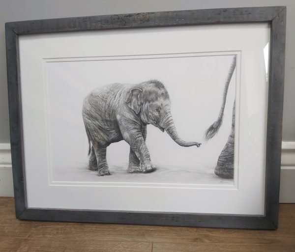 baby elephant drawing framed in a reclaimed wooden frame