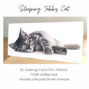 tabby cat sleeping greetings card