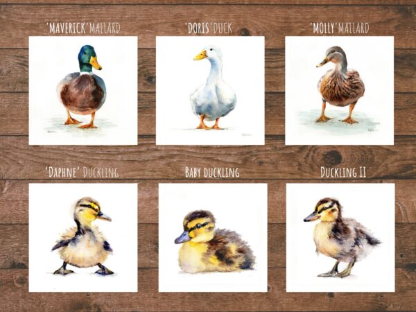 Mini Wildlife Fine Art Prints