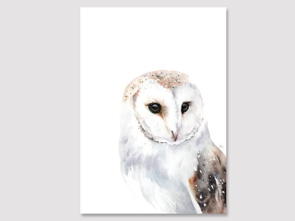 Barn owl in watercolour