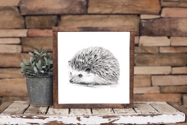 hedgehog drawing art print framed in a brown oak frame