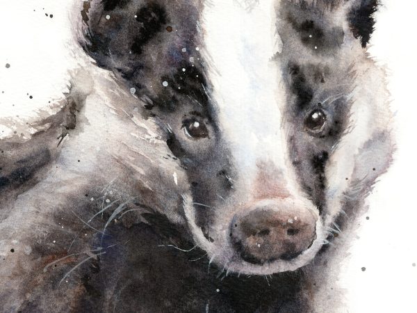 close up images of a badger painting