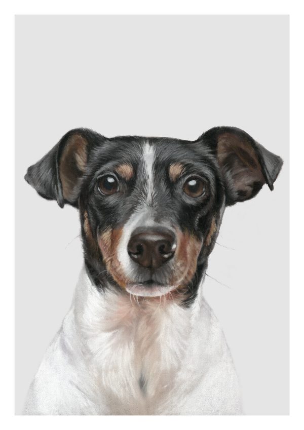 jack russel terrier art print