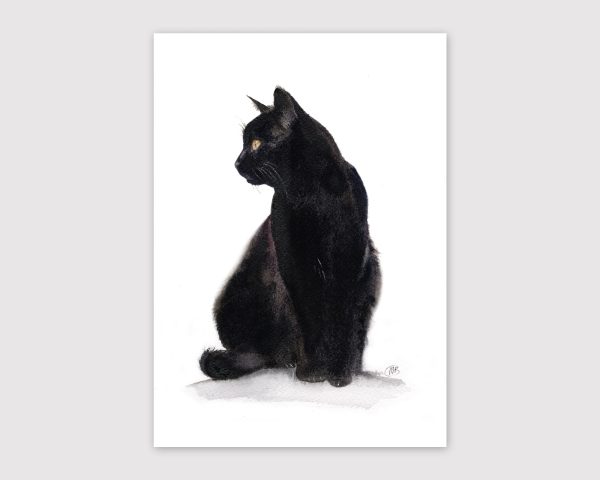 black cat print