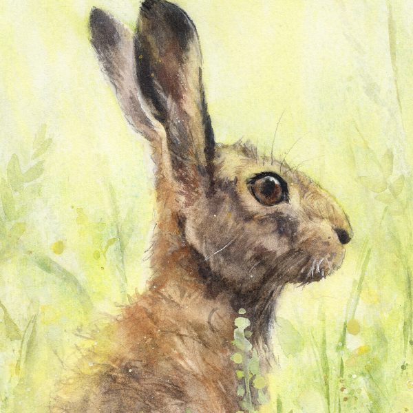 close up view hare painting