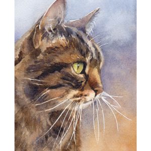 tabby cat watercolour print