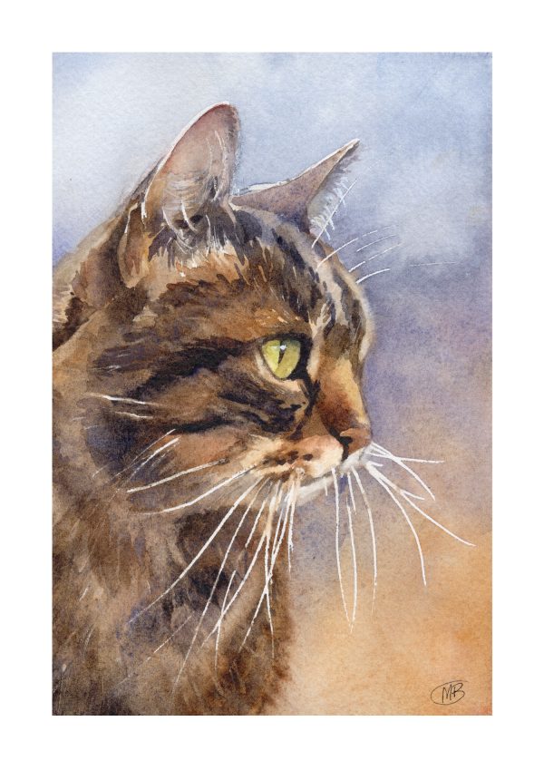 tabby cat watercolour print