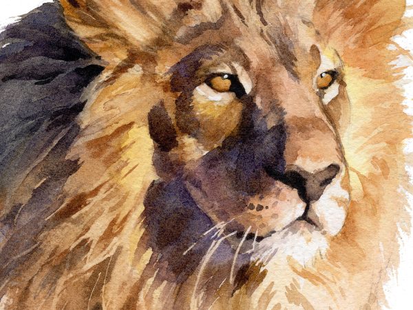 close up of lion painting