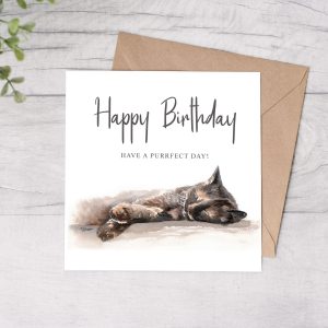 Tortoiseshell cat happy birthday card