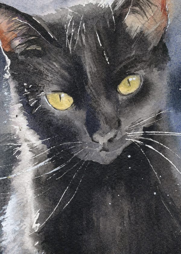 black cat watercolour print