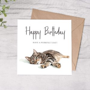 tabby cat happy birthday card