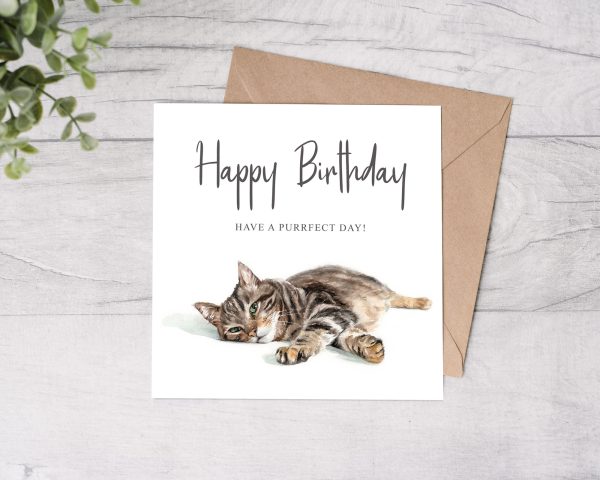 tabby cat happy birthday card