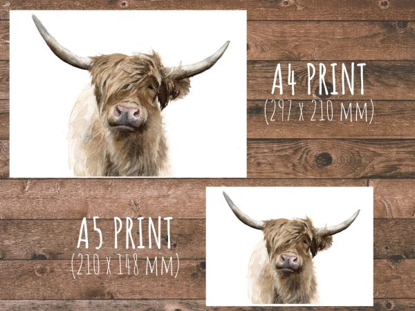 Highland Cow a5 and a4 print