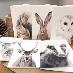 Set of 6 British Wildlife Art Cards