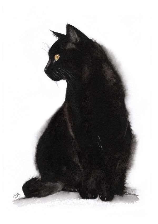 black cat watercolour painting