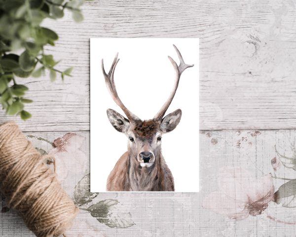 highland stag greetings card