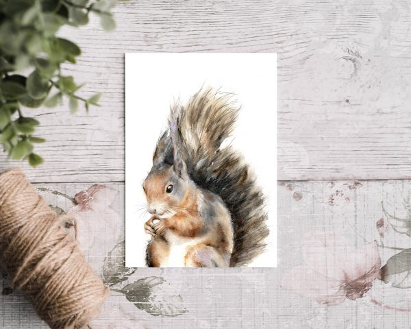 red squirrel print