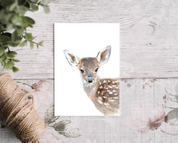 baby deer fawn greetings card