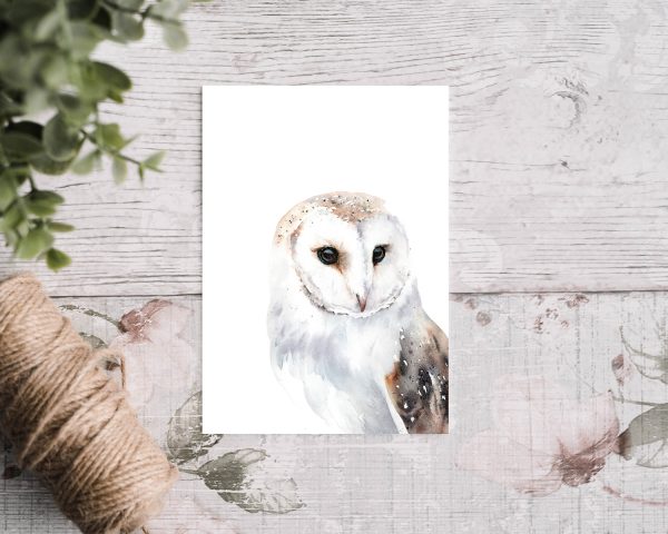 Barn owl greetings card