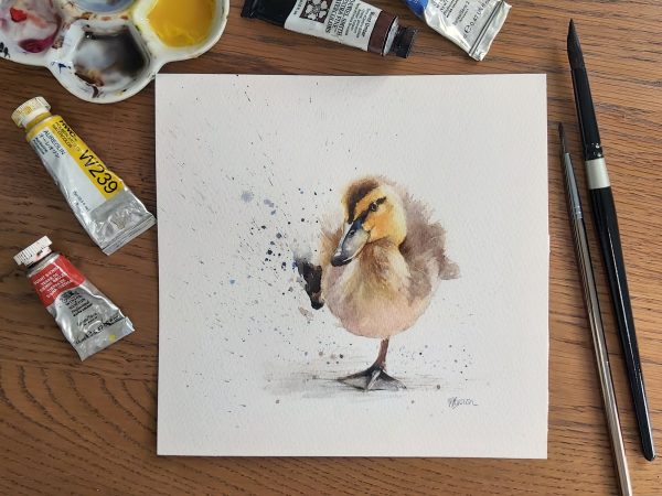 baby duckling watercolour painting