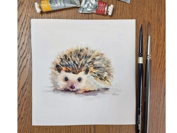 Hedgehog painting