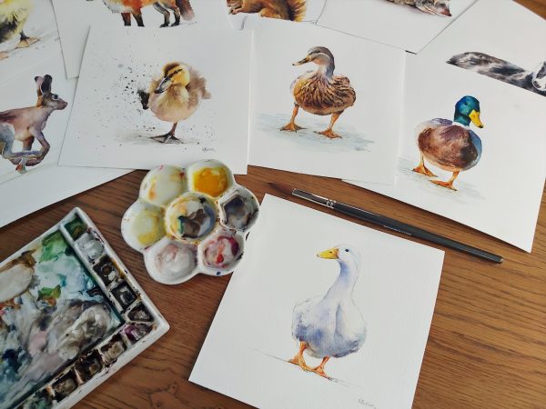 White Duck watercolour painting