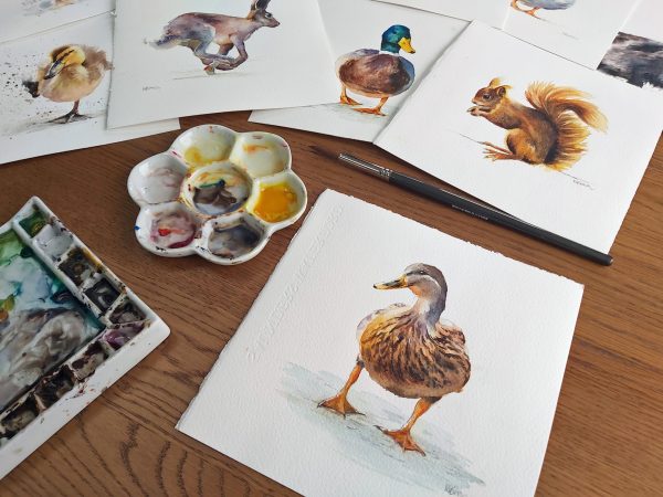 Female Mallard Duck painting