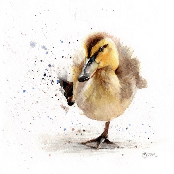 baby duckling splashing, watercolour painting