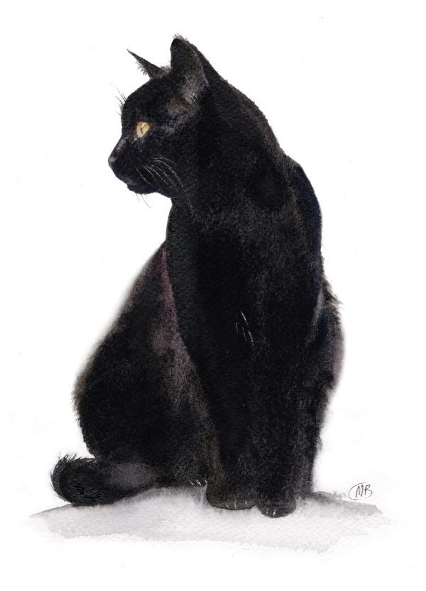 black cat greetings card