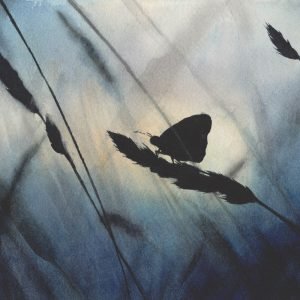 'Butterfly' Blue Atmospheric