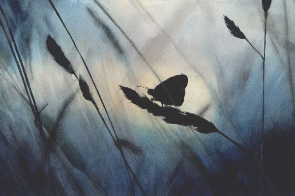 'Butterfly' Blue Atmospheric