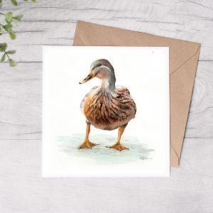 Female Mallard Duck Greetings Card