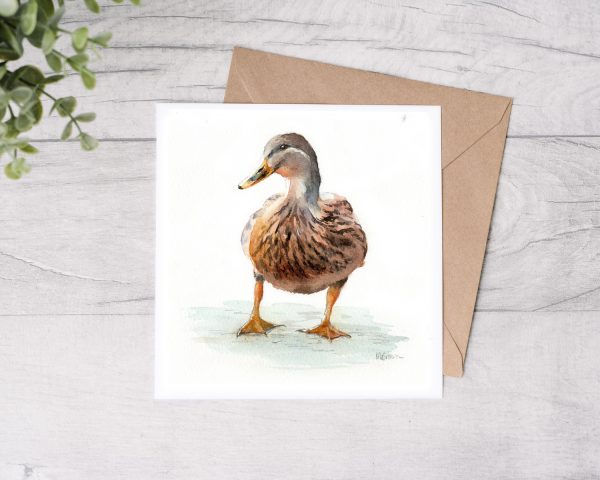 Female Mallard Duck Greetings Card