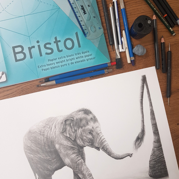 elephant drawing art materials