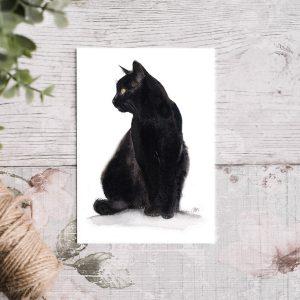 black cat greetings card