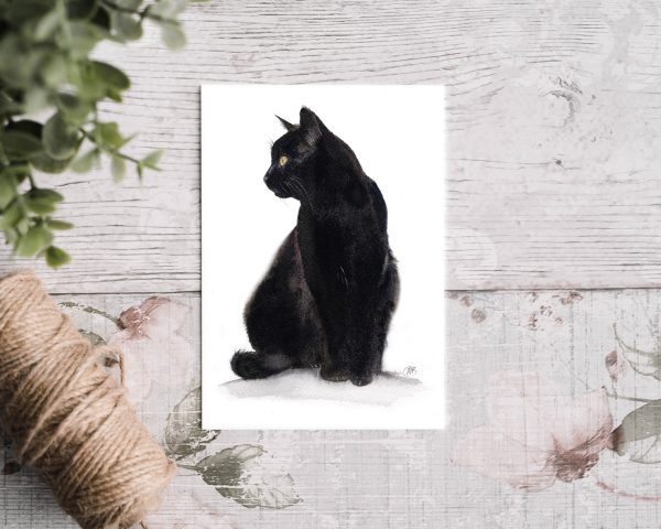 black cat greetings card