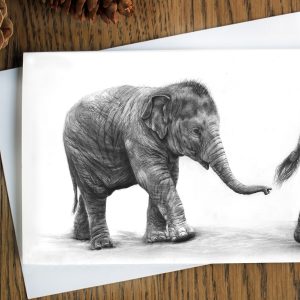 Indian Elephant infant greetings card