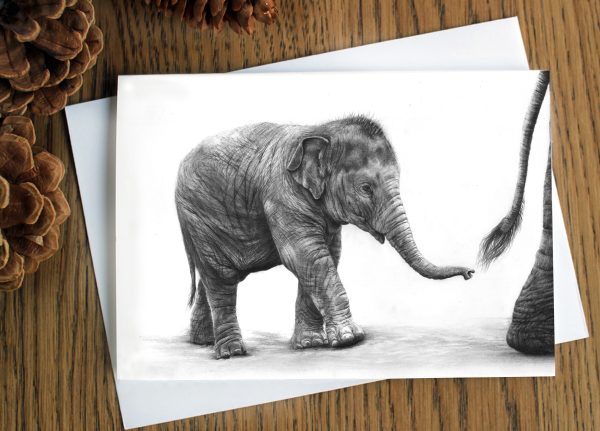 Indian Elephant infant greetings card