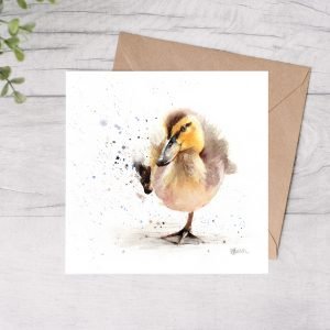 Baby Mallard Duck Greetings Card