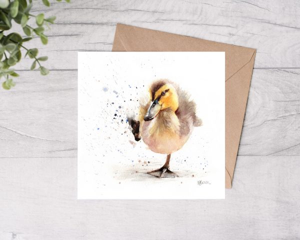 Baby Mallard Duck Greetings Card