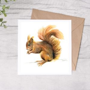 Red Squirrel Greetings Card