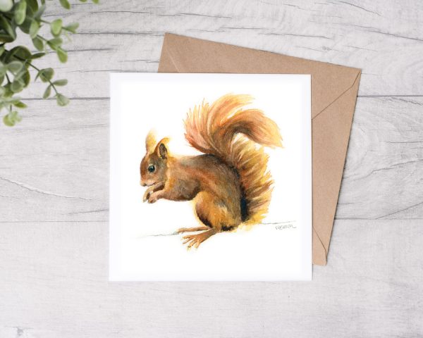 Red Squirrel Greetings Card