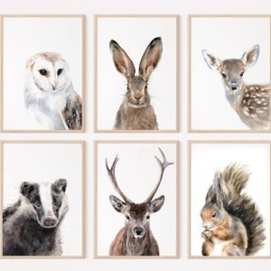 British Woodland Wildlife Prints