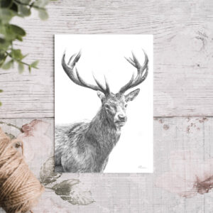 'Highland Stag' Greetings Card