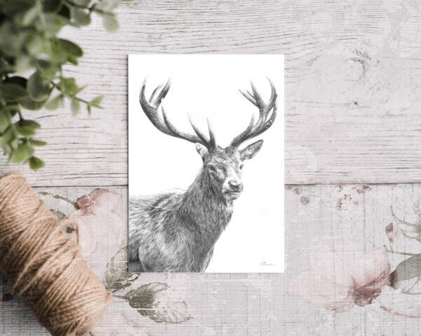 'Highland Stag' Greetings Card