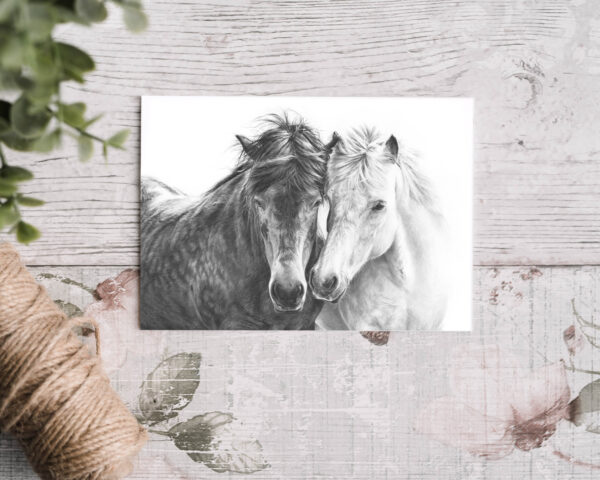 Horse Love greetings card