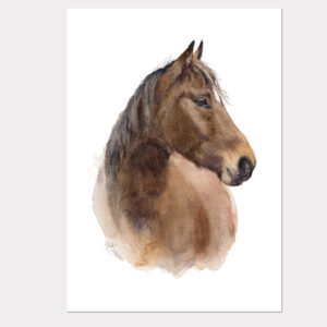 'Brown Horse' watercolour print