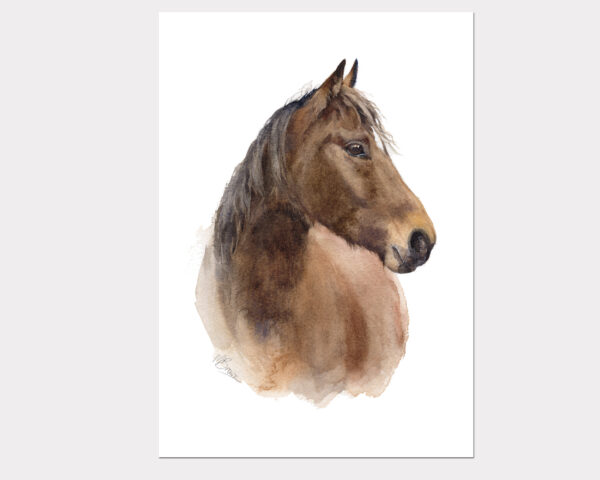 'Brown Horse' watercolour print