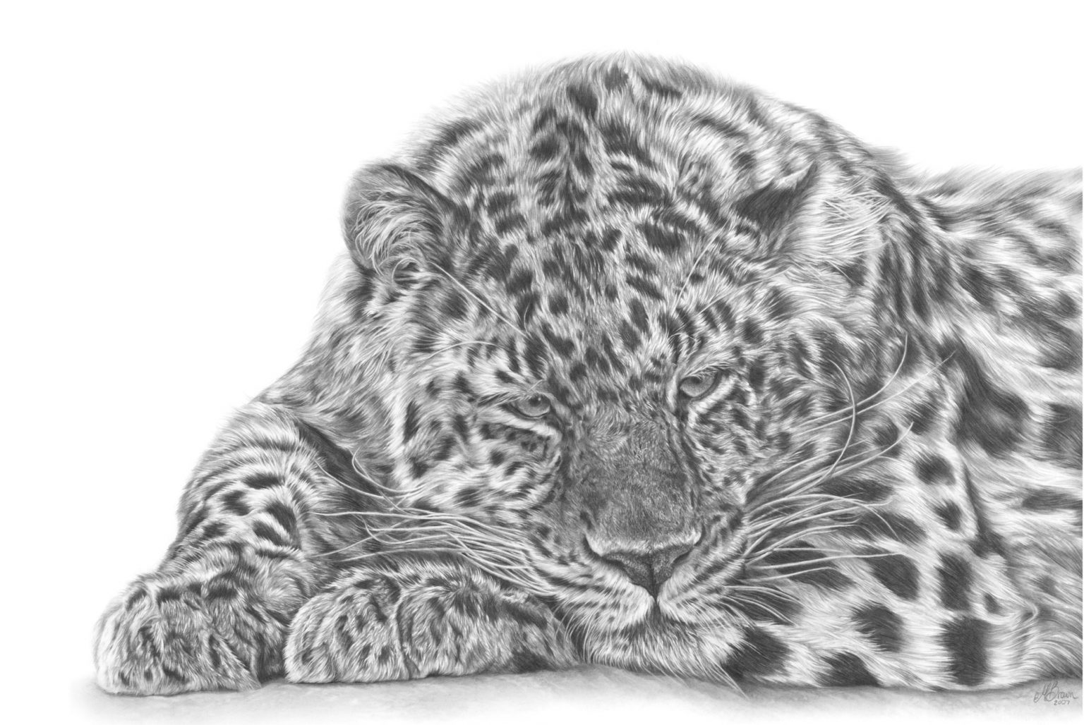 Amur Leopard - Marie Brown Fine Art